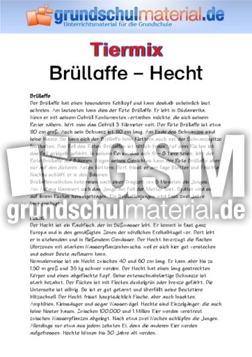 Brüllaffe - Hecht.pdf